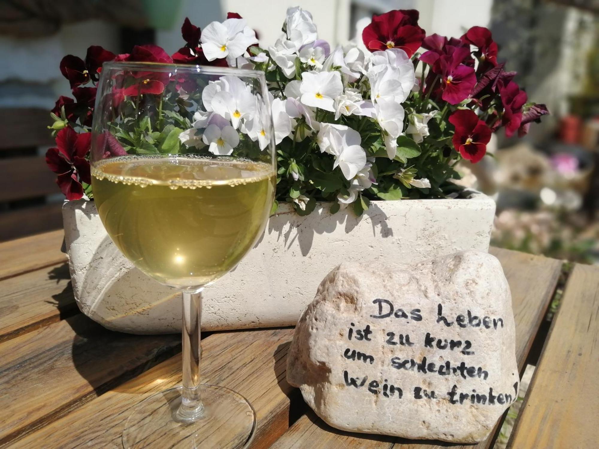 Kerschbamerhof Im Sueden Suedtirols Cortaccia
