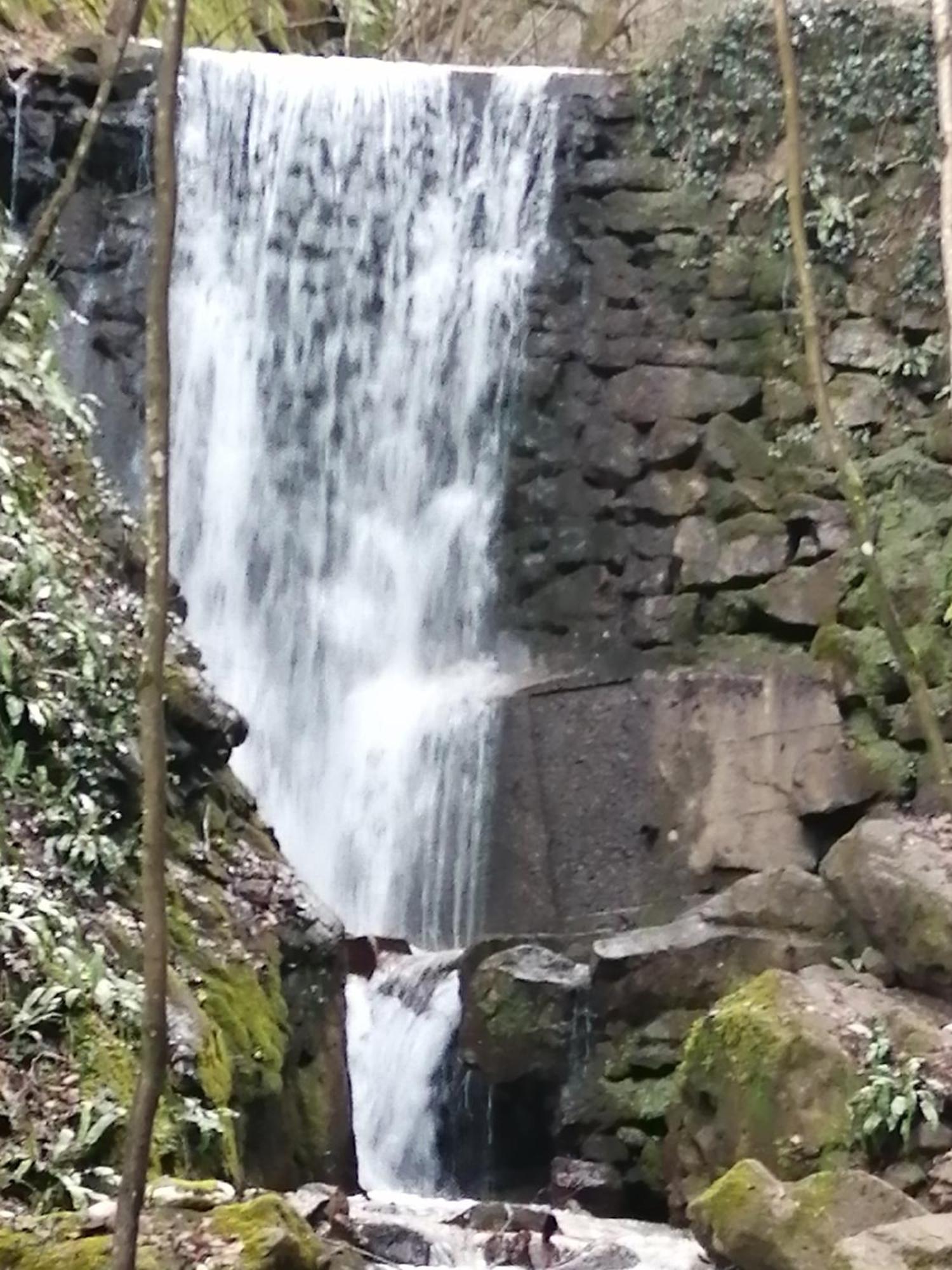 Kerschbamerhof Im Sueden Suedtirols * Cortaccia