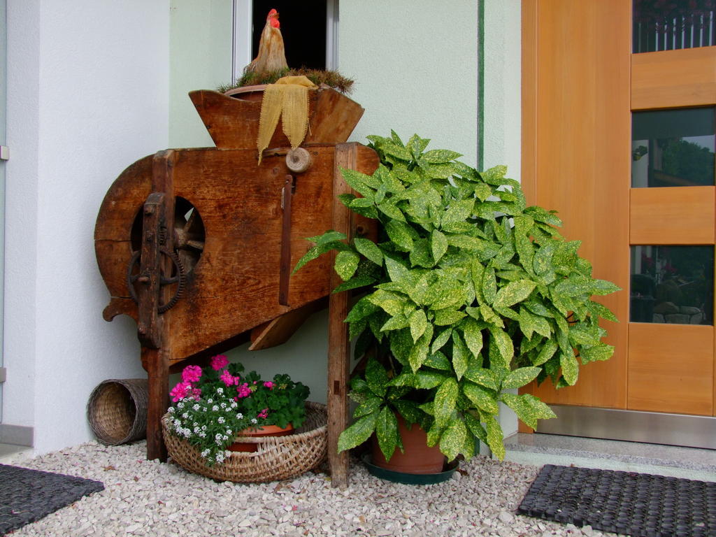 Apartment Kerschbamerhof Im Sueden Suedtirols *