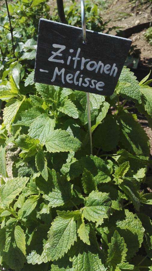 Kerschbamerhof Im Sueden Suedtirols *
